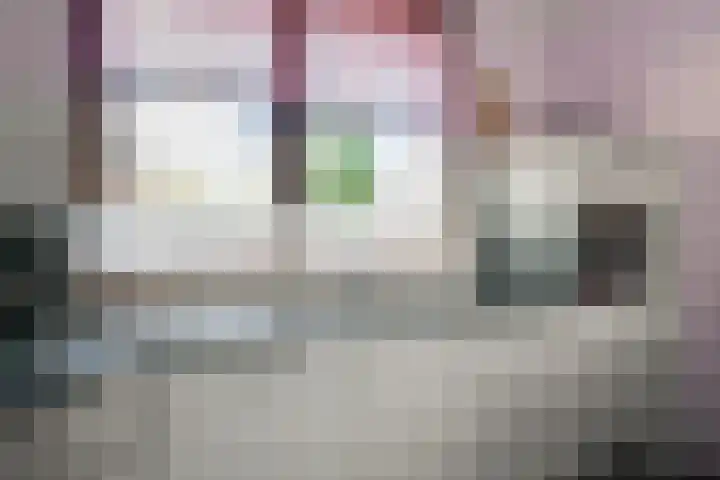 Pater Jan de Vriesstraat 56 Bredevoort thumbnail 16
