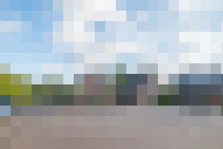 Pater Jan de Vriesstraat 56 Bredevoort thumbnail 54