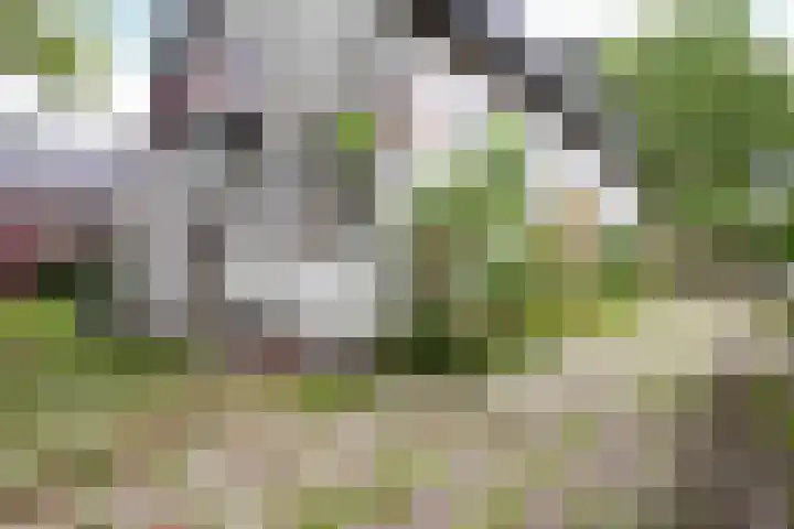 Pater Janssenstraat 2 Vaals thumbnail 19