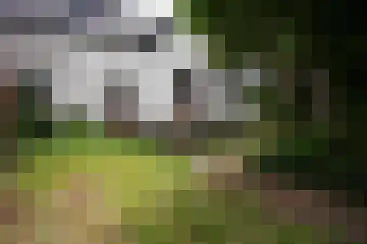 Pater Janssenstraat 2 Vaals thumbnail 20