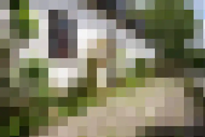 Pater Janssenstraat 2 Vaals thumbnail 21