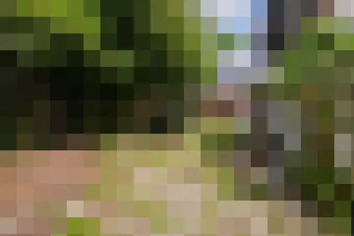 Pater Janssenstraat 2 Vaals thumbnail 22