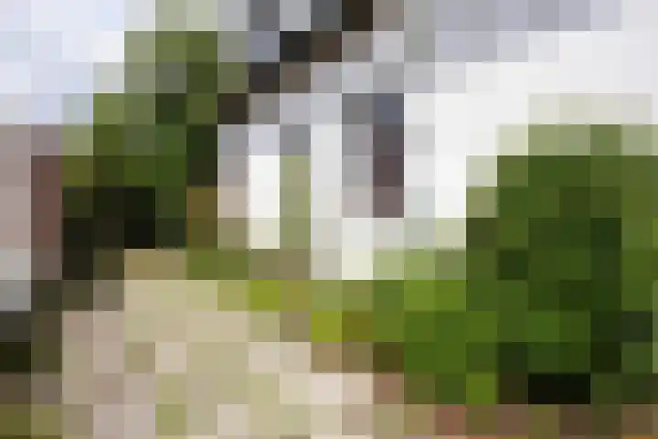 Pater Janssenstraat 2 Vaals thumbnail 23