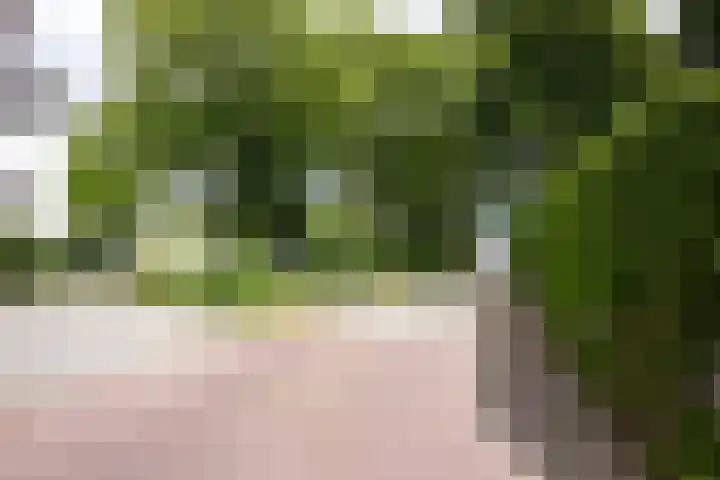 Pater Janssenstraat 2 Vaals thumbnail 25