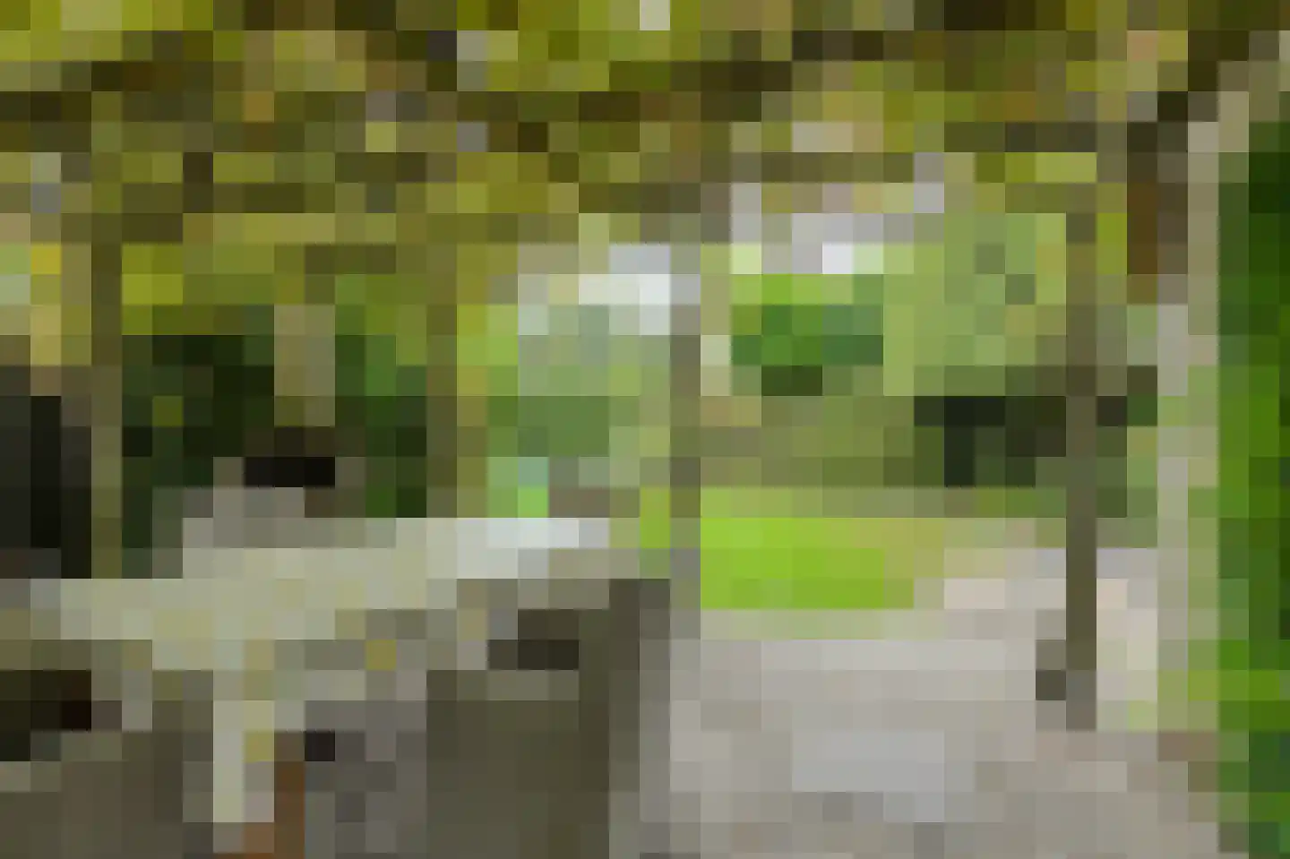 Pater Kerssemakersdreef 2 Oosterhout thumbnail 34