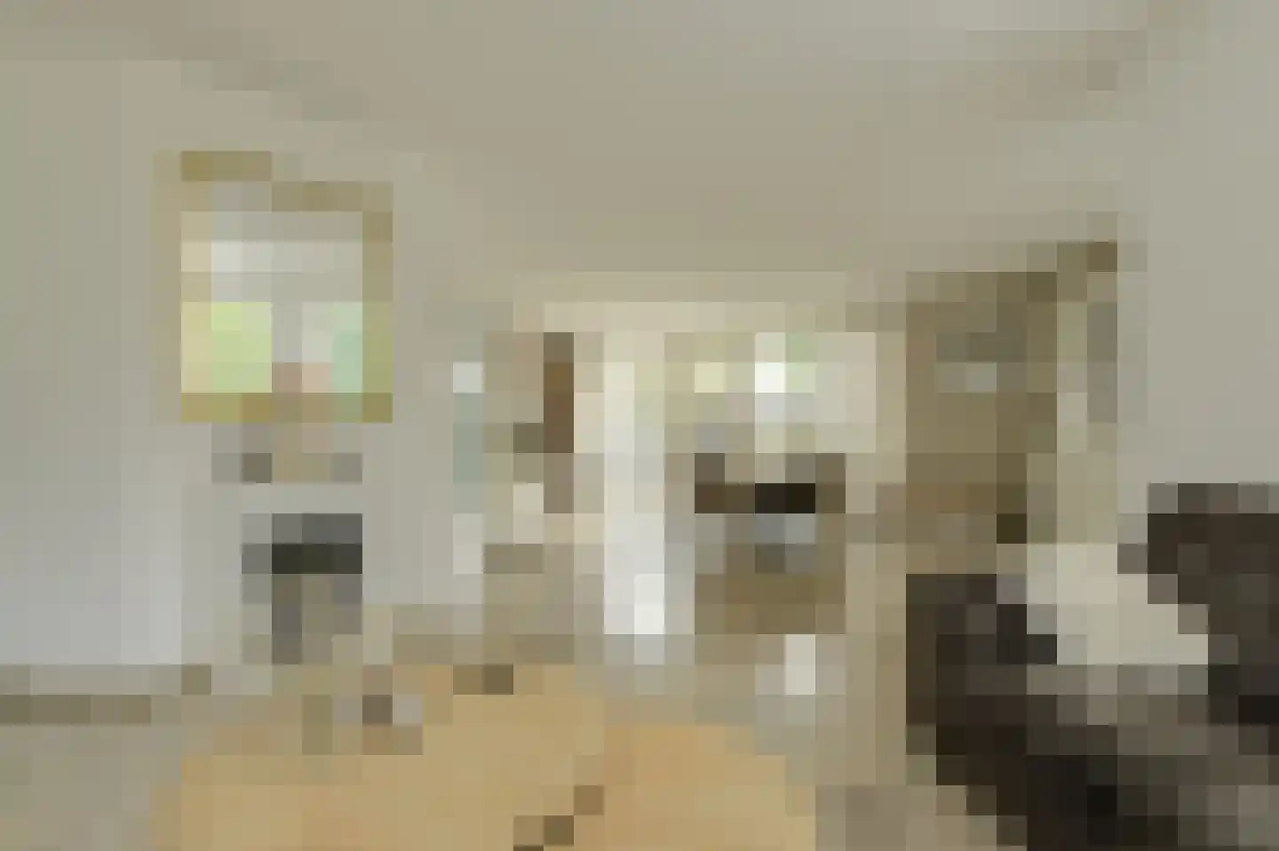 Pater Kerssemakersdreef 2 Oosterhout thumbnail 8