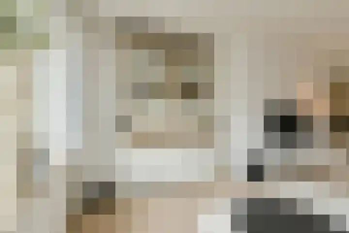 Pater Kerssemakersdreef 8 Oosterhout thumbnail 10