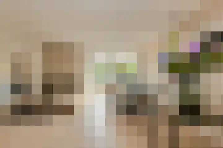 Pater Kerssemakersdreef 8 Oosterhout thumbnail 11