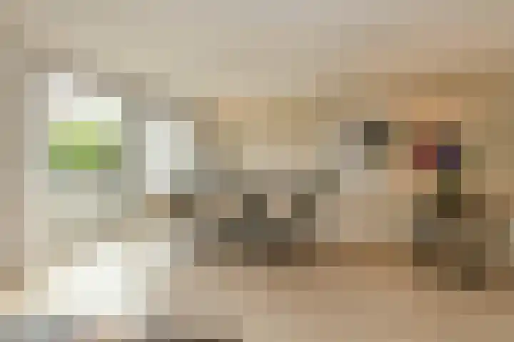 Pater Kerssemakersdreef 8 Oosterhout thumbnail 12