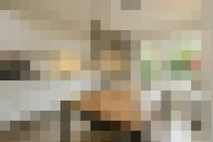 Pater Kerssemakersdreef 8 Oosterhout thumbnail 15