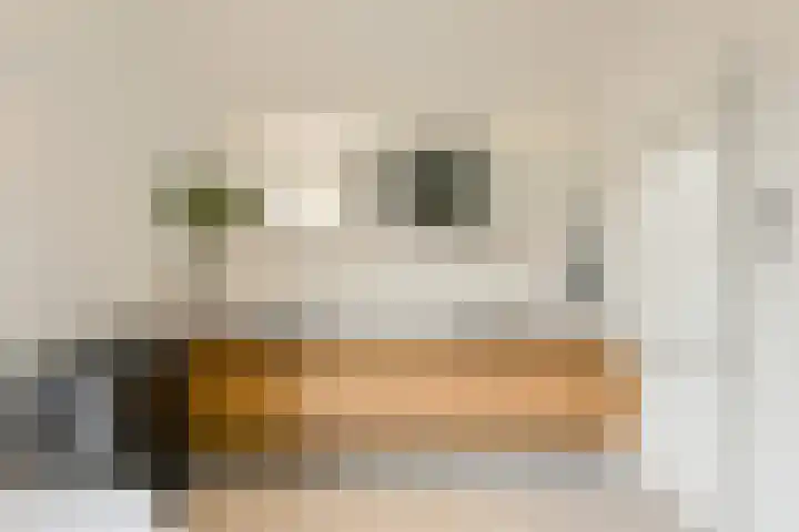 Pater Kerssemakersdreef 8 Oosterhout thumbnail 27