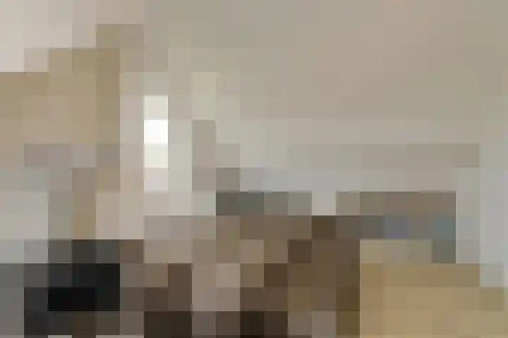 Pater Kerssemakersdreef 8 Oosterhout thumbnail 32