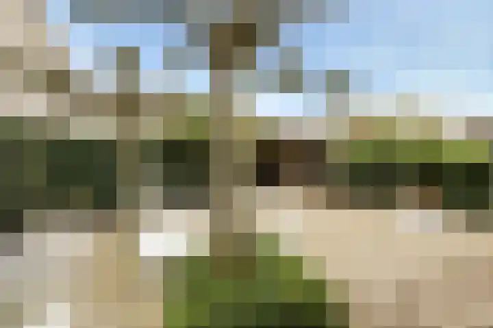 Pater Kerssemakersdreef 8 Oosterhout thumbnail 37