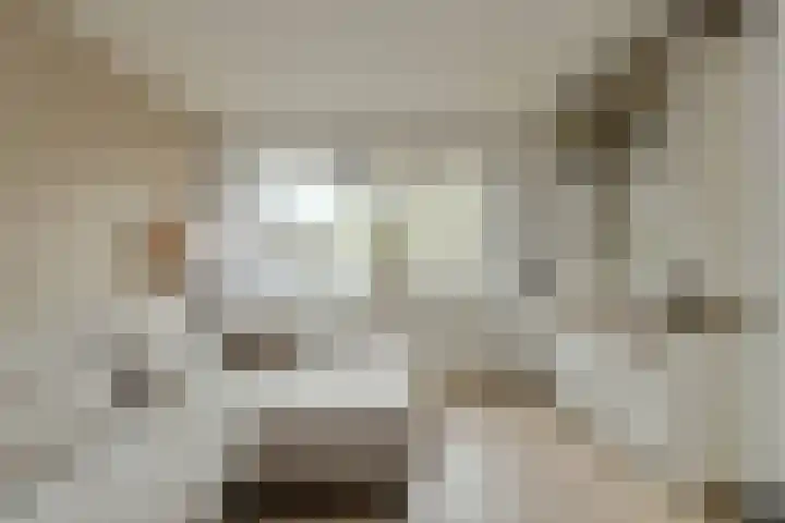 Pater Kerssemakersdreef 8 Oosterhout thumbnail 7