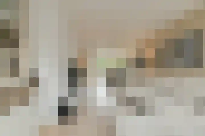 Pater Kerssemakersdreef 8 Oosterhout thumbnail 8