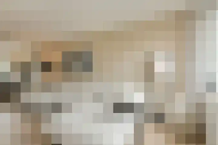 Pater Kerssemakersdreef 8 Oosterhout thumbnail 9