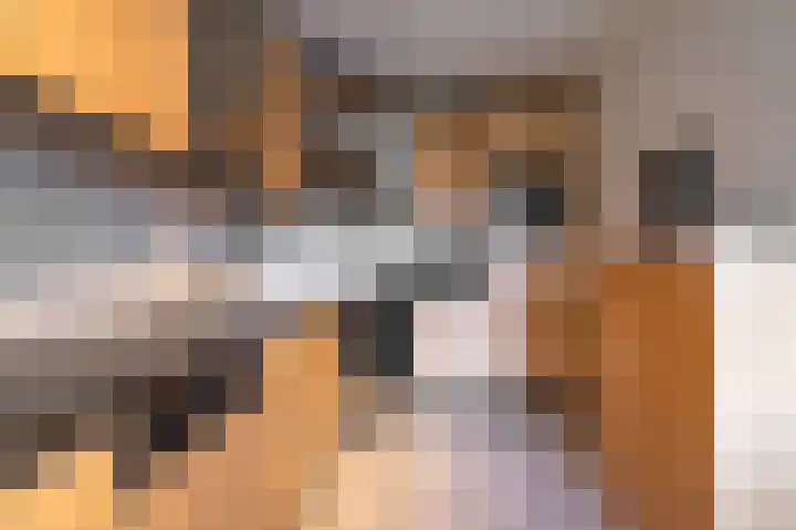 Pater Kusterspad 20 Beek thumbnail 11