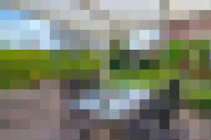 Pater Kusterspad 20 Beek thumbnail 28