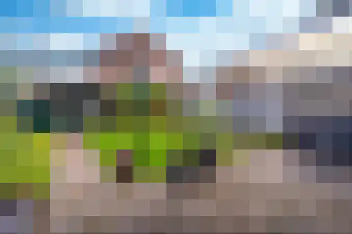 Pater Kusterspad 20 Beek thumbnail 30