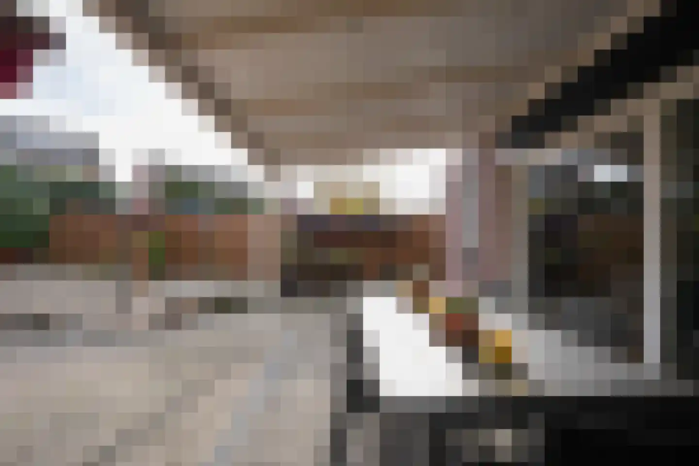 Pater Kusterspad 4 Beek thumbnail 21