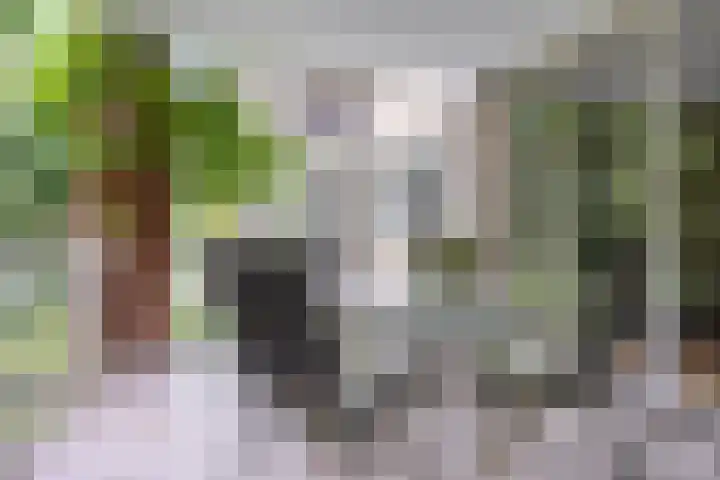 Pater Leijdekkersstraat 80 Nijmegen thumbnail 31