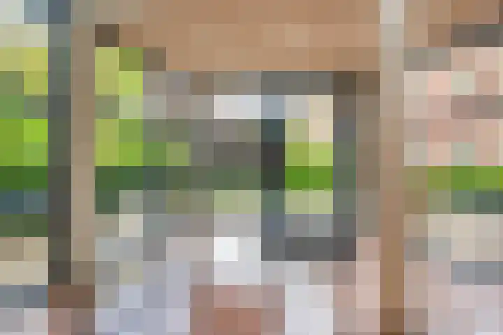Pater Leijdekkersstraat 80 Nijmegen thumbnail 8