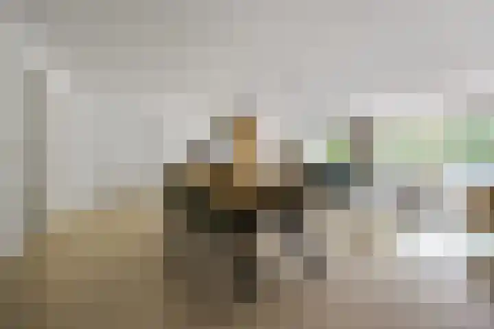 Pater Leijdekkersstraat 86 Nijmegen thumbnail 4