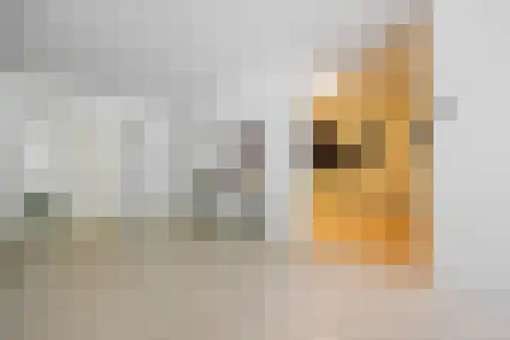 Pater Leijdekkersstraat 86 Nijmegen thumbnail 8