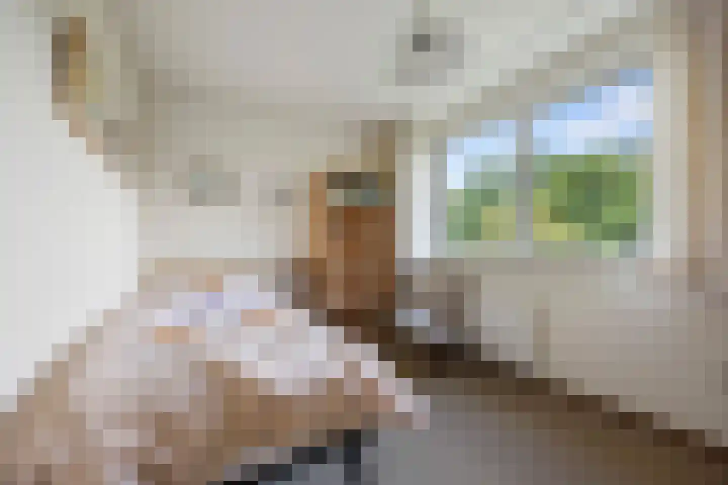 Pater Leijdekkersstraat 88 Nijmegen thumbnail 20