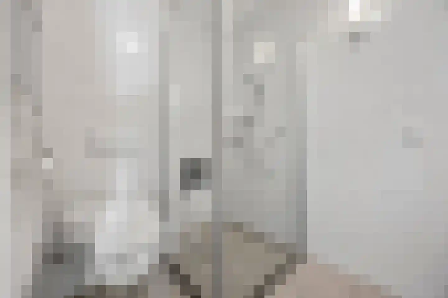 Pater Leijdekkersstraat 88 Nijmegen thumbnail 24