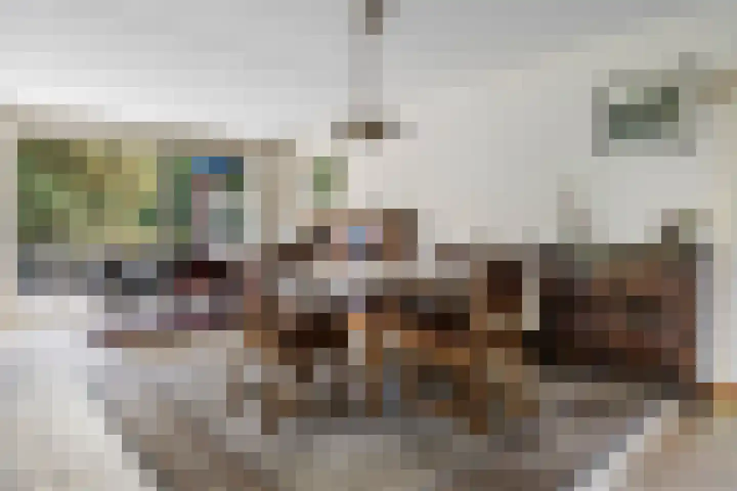 Pater Leijdekkersstraat 88 Nijmegen thumbnail 5