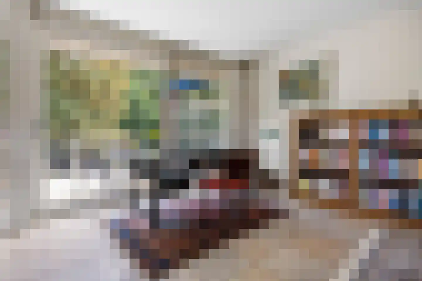 Pater Leijdekkersstraat 88 Nijmegen thumbnail 6
