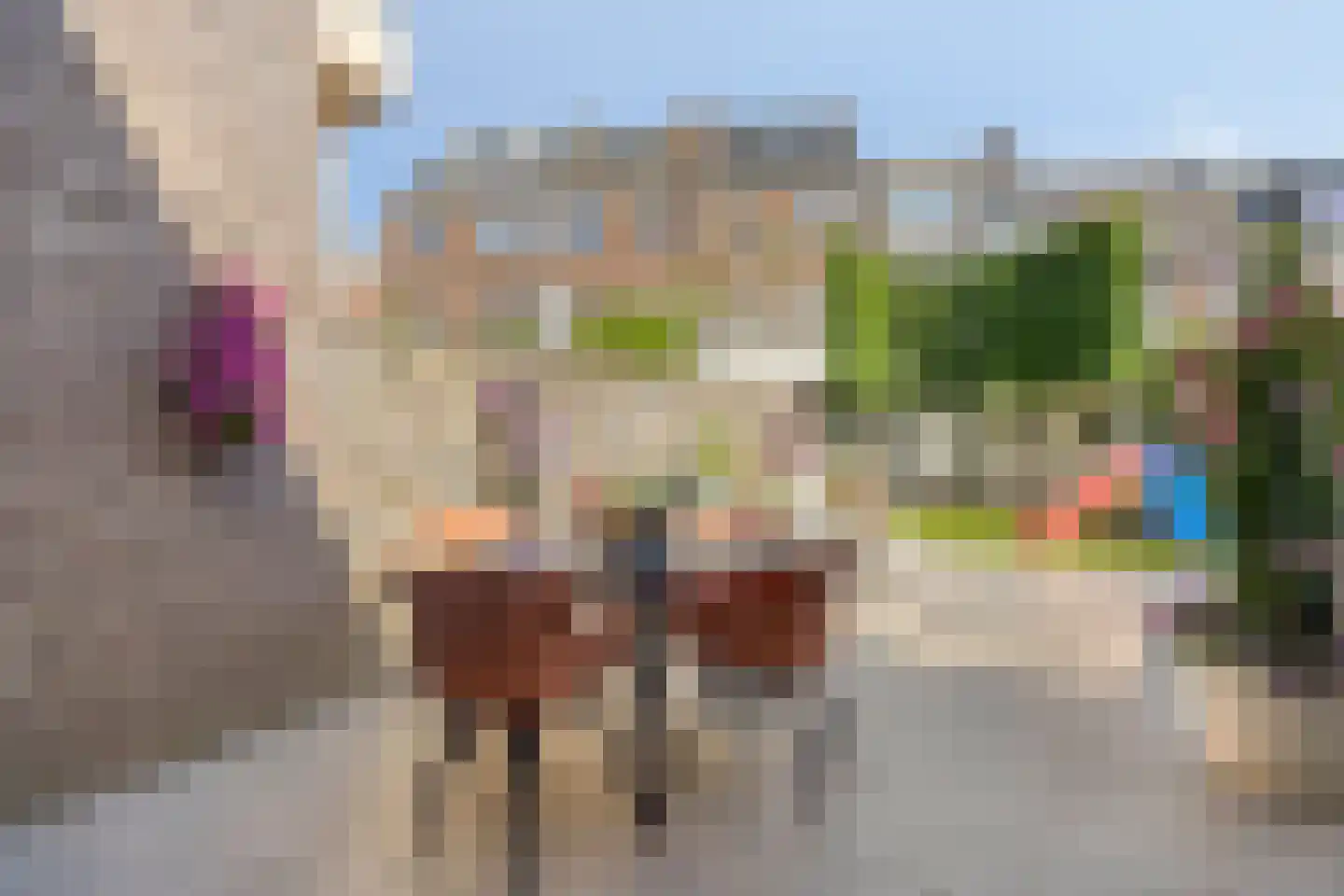 Pater Lemmensstraat 13 Maastricht thumbnail 31