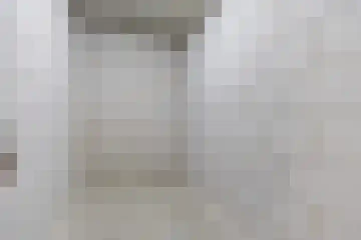 Pater Luijtenpad 5 Bergen op Zoom thumbnail 34