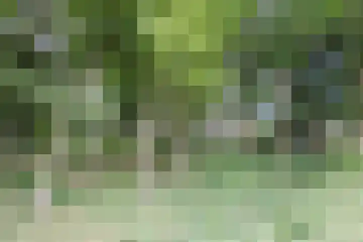 Pater Luijtenpad 5 Bergen op Zoom thumbnail 41