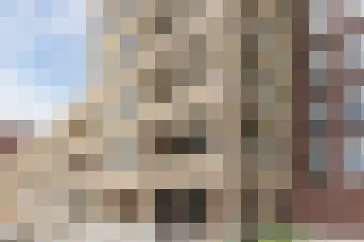 Pater Luijtenpad 5 Bergen op Zoom thumbnail 5