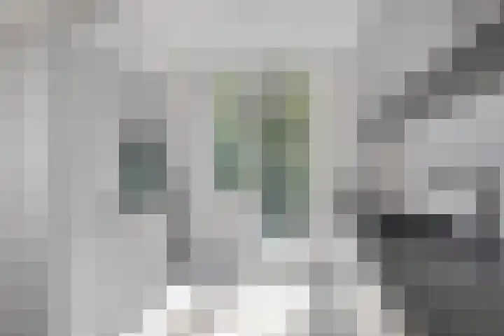 Pater Luijtenpad 65 Bergen op Zoom thumbnail 19
