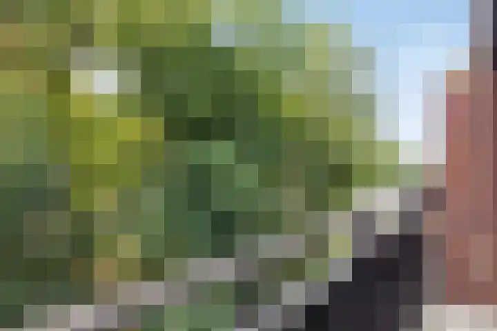 Pater Luijtenpad 65 Bergen op Zoom thumbnail 31