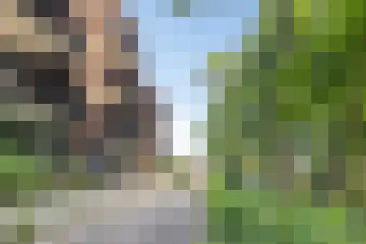 Pater Luijtenpad 65 Bergen op Zoom thumbnail 33