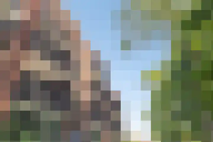 Pater Luijtenpad 65 Bergen op Zoom thumbnail 4