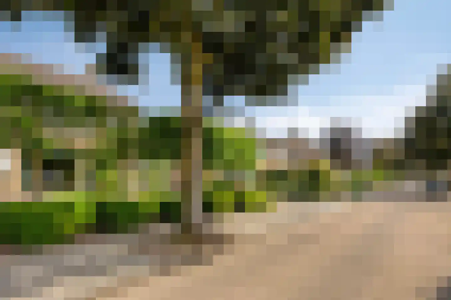 Pater M. Wolffstraat 7 Best thumbnail 11