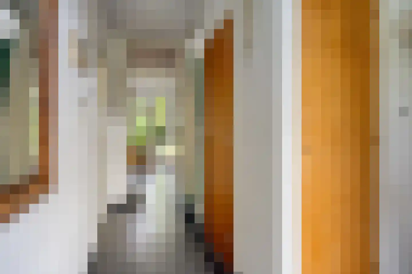 Pater M. Wolffstraat 7 Best thumbnail 12