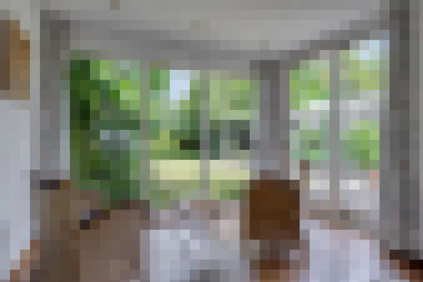Pater M. Wolffstraat 7 Best thumbnail 19