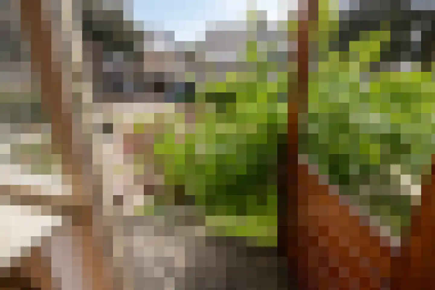 Pater M. Wolffstraat 7 Best thumbnail 31