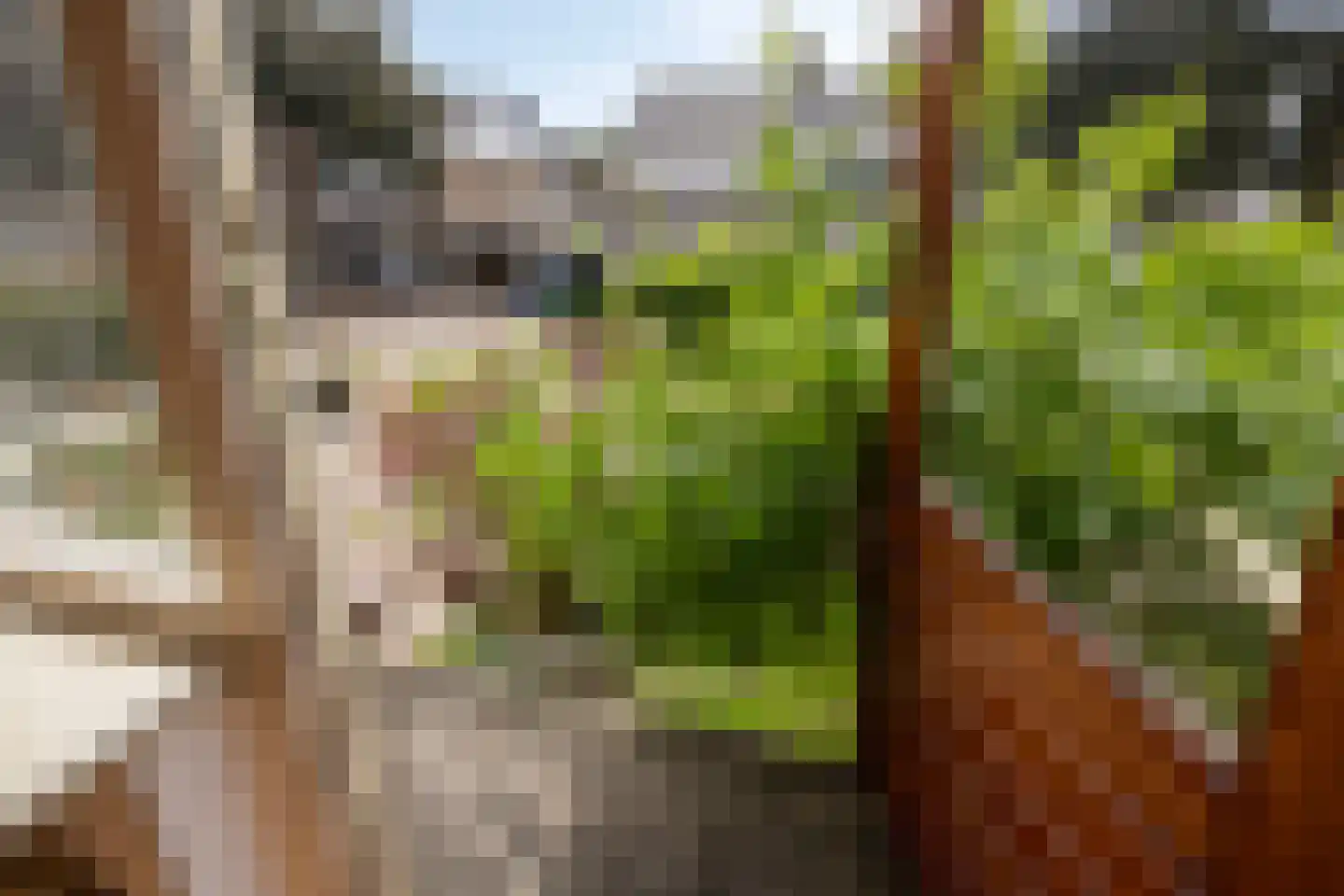 Pater M. Wolffstraat 7 Best thumbnail 32