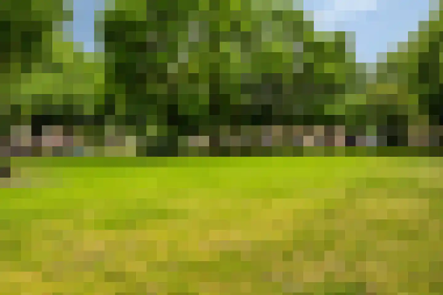 Pater M. Wolffstraat 7 Best thumbnail 45