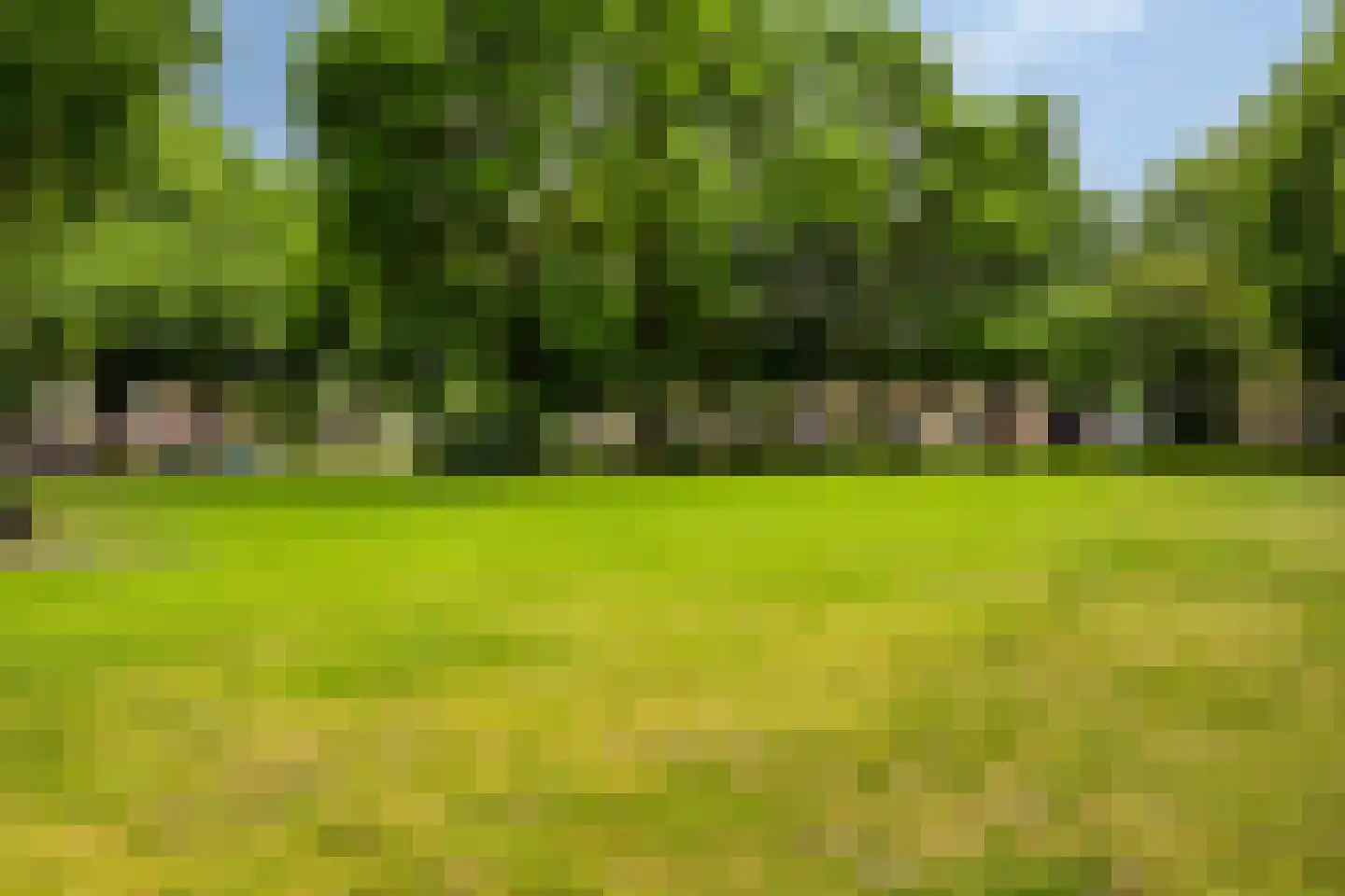 Pater M. Wolffstraat 7 Best thumbnail 46