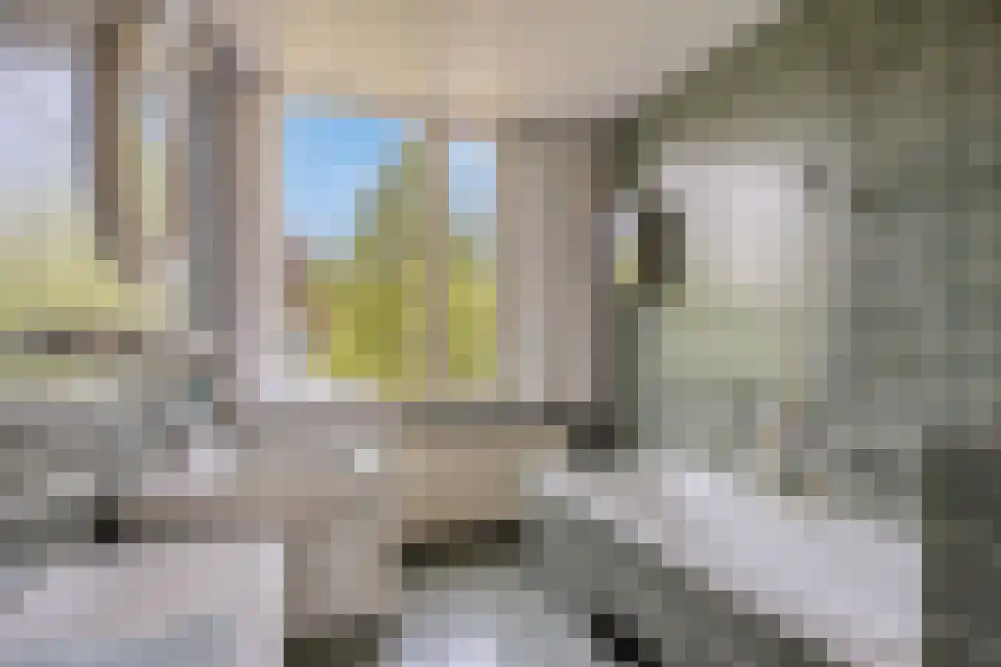 Pater M. Wolffstraat 7 Best thumbnail 5