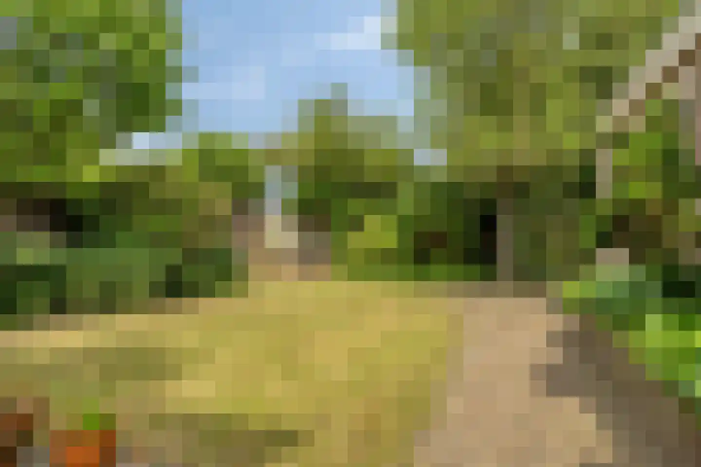 Pater M. Wolffstraat 7 Best thumbnail 6