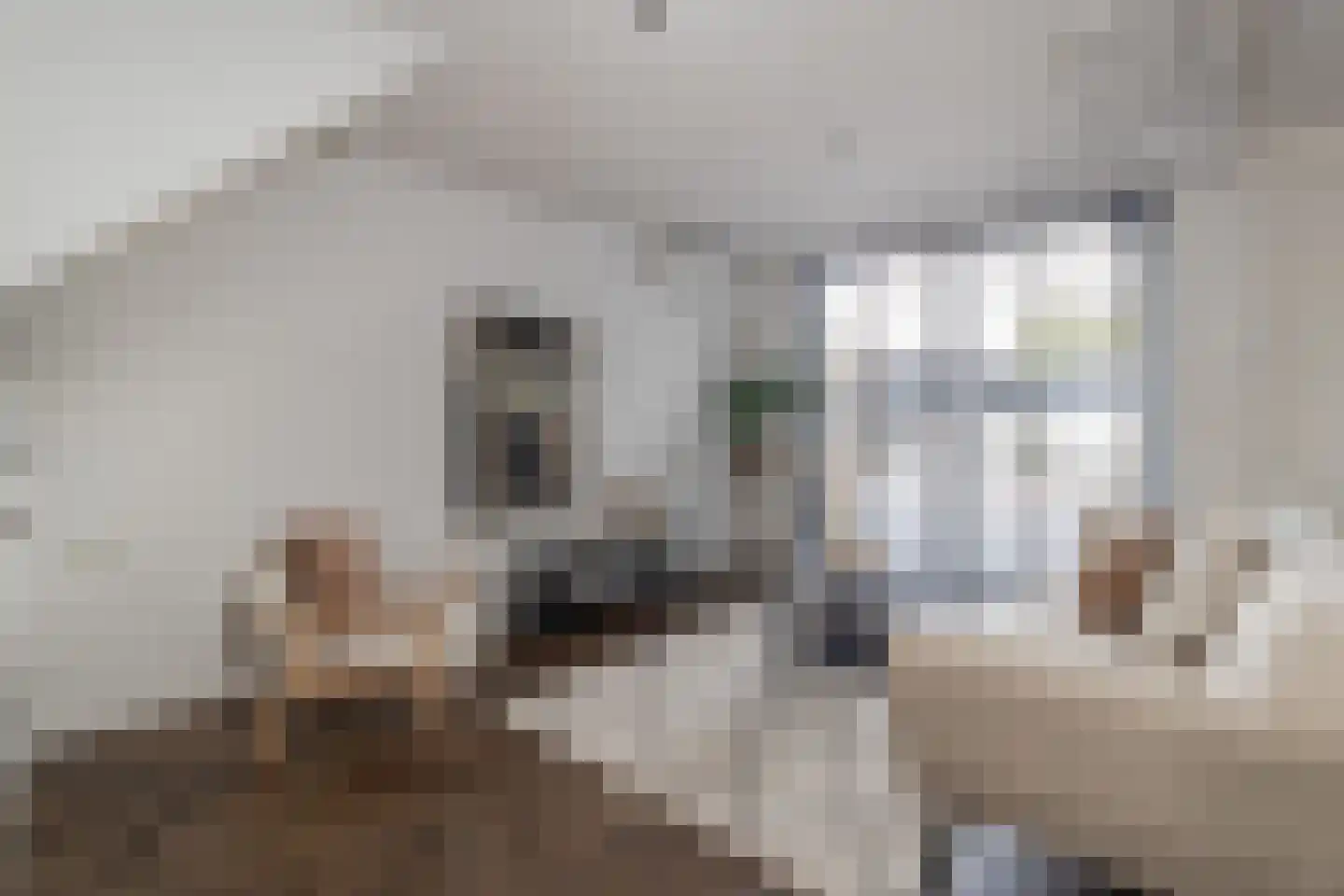 Pater Nottenstraat 4 Ulestraten thumbnail 11